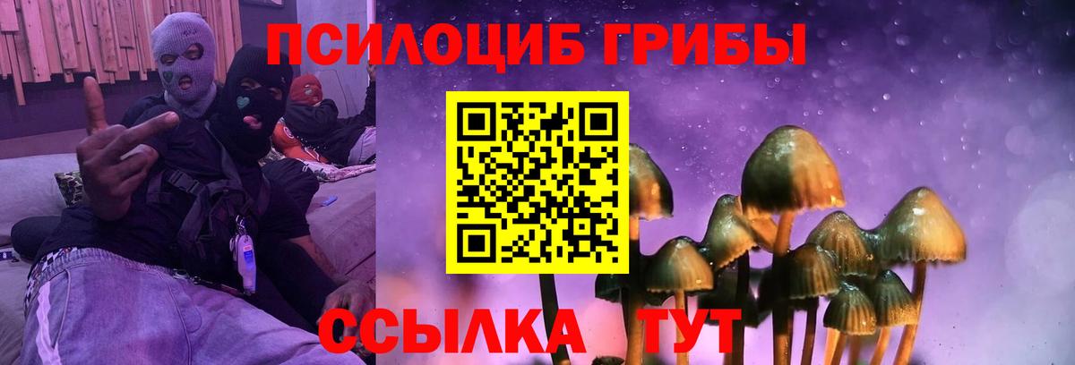 Галлюциногенные грибы MAGIC MUSHROOMS Ликино-Дулёво